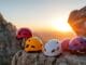 entry-level climbing helmet reviews